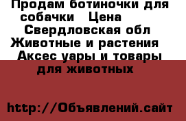 Продам ботиночки для собачки › Цена ­ 500 - Свердловская обл. Животные и растения » Аксесcуары и товары для животных   